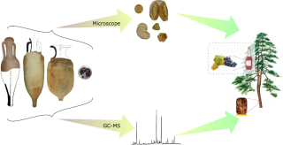 Schéma présentant les différents intervenants dans la fabrication du vin romain.
