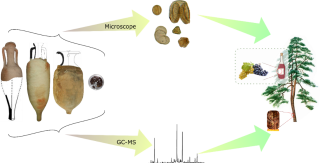 Schéma présentant les différents intervenants dans la fabrication du vin romain.