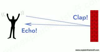 Schéma du principe d'écholocation.