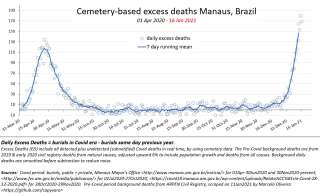 La surmortalité quotidienne à Manaus depuis le mois de mars 2020