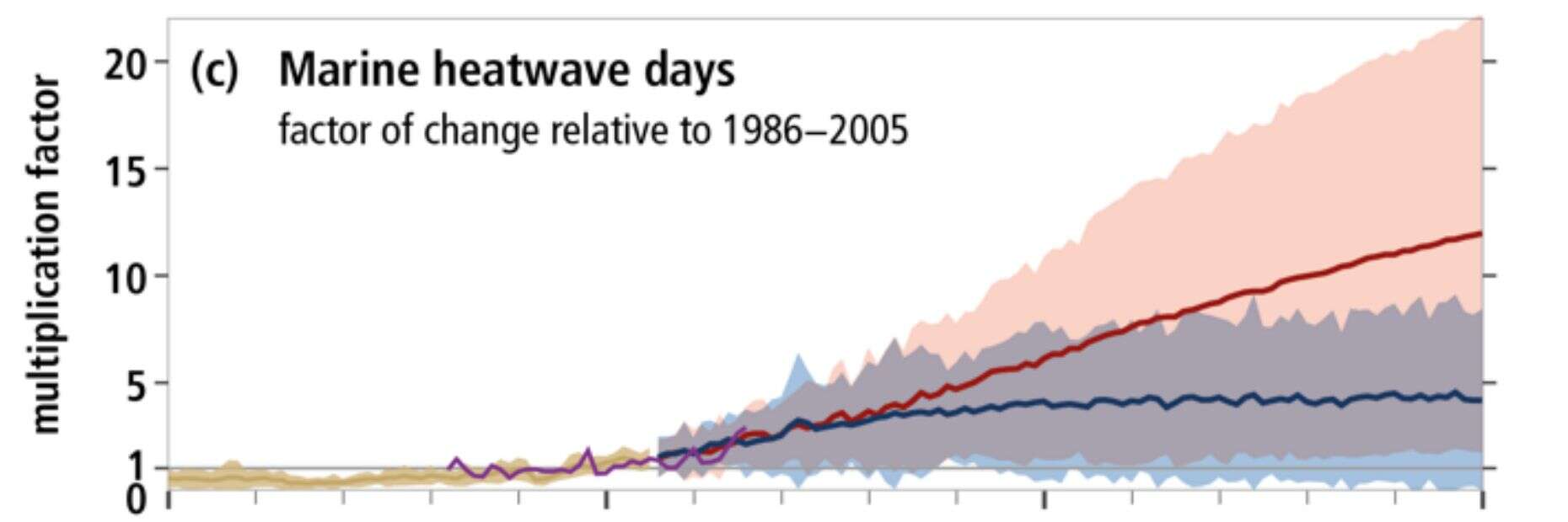 Le nombre de jours de canicules marines, de 1950 à 2100. En rouge, la courbe dans le pire scénario possible. En bleu, la courbe si nous réussissons à réduire nos émissions de CO2 pour rester sous les 2°C.