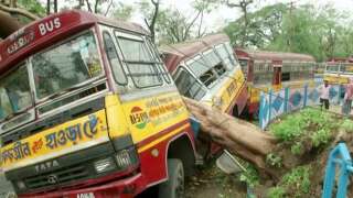 Un bus endommagé par la chute d'un arbre causée par le cyclone, à Calcutta ce 21 mai.