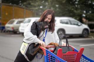 Owen, chien d'assistance, et Liël, jeune femme atteinte d'épilepsie, sur le parking d'un supermarché de la Roche-Sur-Yon.