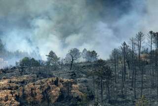 Des fumées s'élèvent, le 30 juillet 2003 près de La Motte, au-dessus de la forêt calcinée du Massif des Maures, signalant la reprise de l'incendie qui a déjà dévasté plusieurs milliers d'hectares.