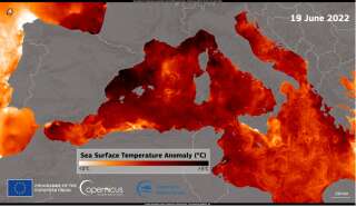 Certaines parties de la Méditerranée sont plus chaudes de plus de +5°C que la moyenne.