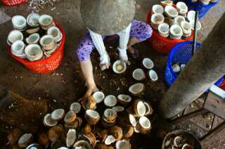 Dans le delta du Mékong, au Vietnam, des ouvriers transforment les fruits de la noix de coco pour en faire des bonbons et de l'huile.