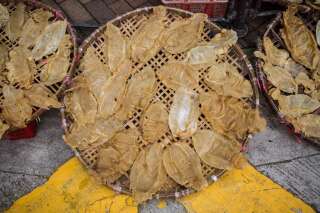 Des vessies natatoires séchées du totoaba, un poisson en danger critique d'extinction. Elles sont vendues pour des dizaines de milliers de dollars sur le marché noir en Chine, malgré une interdiction internationale.