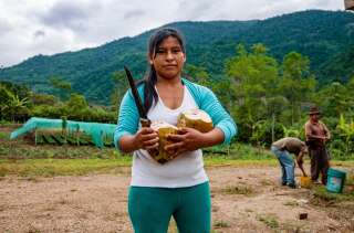 Une agricultrice péruvienne sur ses terres, tenant une noix de coco fraîche dans ses bras.