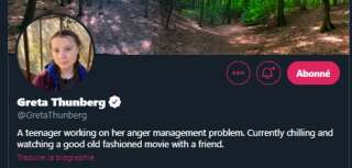 Bio Twitter Greta Thunberg