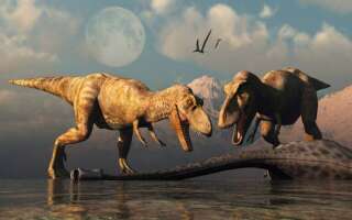 Les T. rex étaient vraisemblablement des animaux sociaux (et normalement dotés d'un duvet de plumes)