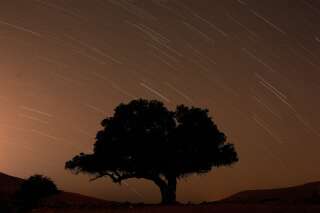 Une longue exposition montre des étoiles derrière un arbre lors de la pluie de météores annuelle des Perséides près de la ville de Mitzpe Ramon, dans le sud d'Israël, le 13 août 2019.