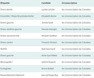 Les candidats aux législatives dans la 6e circonscription du Calvados où se présente Elisabeth Borne.
