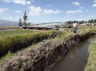 Un canal d’irrigation pour la production de roses à Tabacundo, Équateur.
