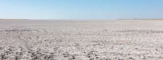 Le désert de Makgadikgadi était, il y a 200.000 ans, une oasis propice à la vie pour Homo sapiens
