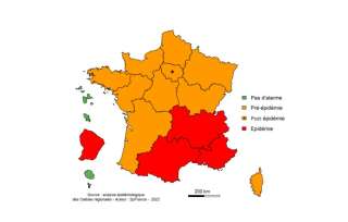 Dans son bulletin hebdomadaire du 23 février, Santé publique France décrit une situation d'épidémie de grippe en Guyane, en Auvergne-Rhône-Alpes, en Provence-Alpes-Côte d'Azur et en Occitanie.