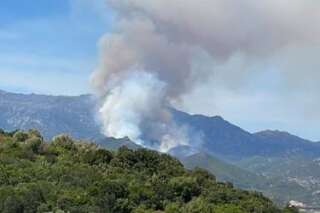 En Haute-Corse, un incendie parcourt « 450 hectares »