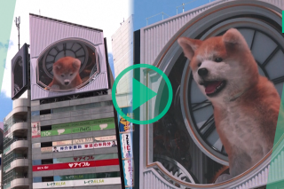 Ce chien géant animé en 3D ne passe pas inaperçu dans les rues de Tokyo