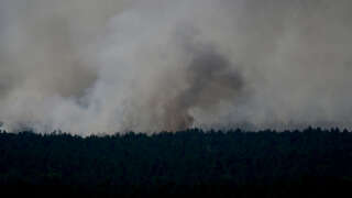 Smoke billows over Grunewald forest in Berlin after a large fire broke out in the popular forest following an explosion in a police munitions storage site on August 4, 2022. - The affected area of 15,000 square metres (161,500 square feet) includes a storage site for police ammunition. (Photo by INA FASSBENDER / AFP)