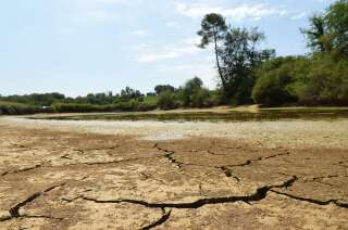 Un étang partiellement à sec à Monfort en Chalossen, dans le sud de la France, le 3 août 2022.