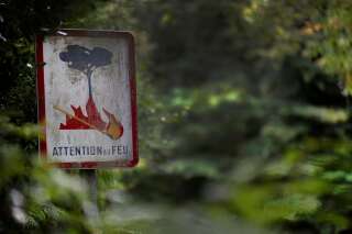 En Bretagne, de multiples incendies parcourent plus de 300 hectares de végétation