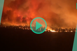Incendie à Landiras en Gironde : la tourbe et le lignite pointés du doigt