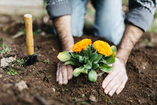 Jardinage seniors : tout ce qu'il faut savoir