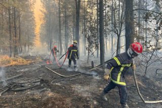 Dans la forêt de Brocéliande, l’incendie contenu malgré des reprises dans la nuit