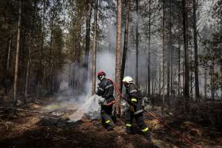 En Gironde, le feu de forêt de Landiras est « dorénavant fixé »