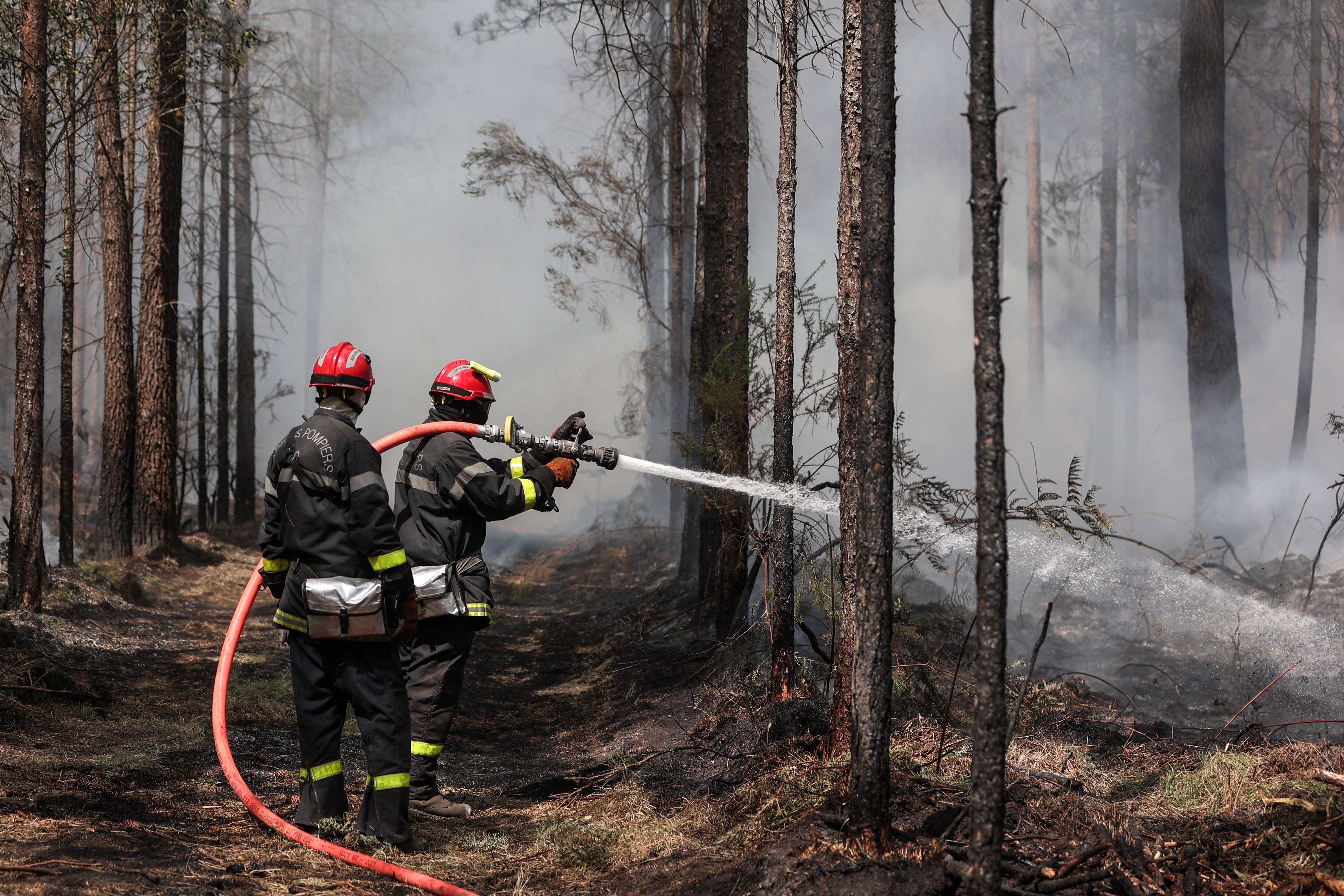 Het aantal bosbranden in de Europese Unie heeft in 2022 al het hoogste niveau bereikt (record in uitvoering)