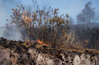 Un adolescent de 12 ans reconnaît avoir allumé des feux près de la forêt de Brocéliande