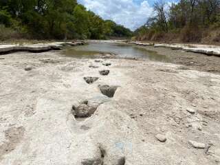 This handout image obtained on August 23, 2022 courtesy of the Dinosaur Valley State Park shows dinosaur tracks from around 113 million years ago, discovered in the Texas State Park after a severe drought conditions that dried up a river. - A drought in Texas dried up a river flowing through Dinosaur Valley State Park, revealing tracks from giant reptiles that lived 113 million years ago, an official said Tuesday. (Photo by Handout / Dinosaur Valley State Park / AFP) / RESTRICTED TO EDITORIAL USE - MANDATORY CREDIT 