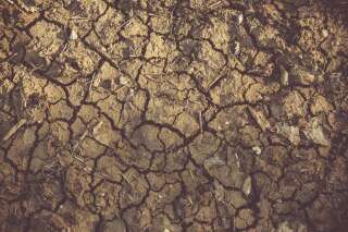 La sécheresse se prolongera jusqu’au mois de novembre