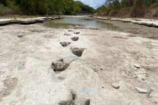 Au Texas, la sécheresse laisse apparaître des traces de dinosaures vieilles de 113 millions d’années