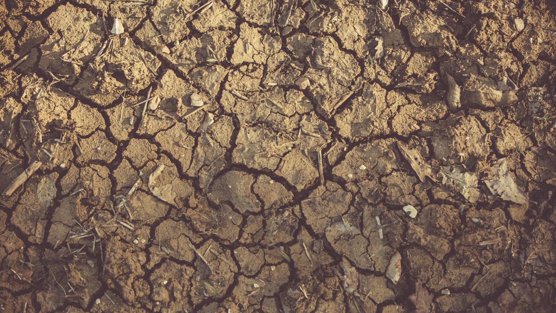 Dürre wird diese französischen Regionen bis November bedrohen