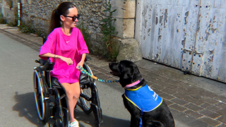 Le fauteuil électrique d’Audrey, ici avec sa chienne d’assistance Paoli, a été endommagé à plusieurs reprises à la suite de voyages en avion.