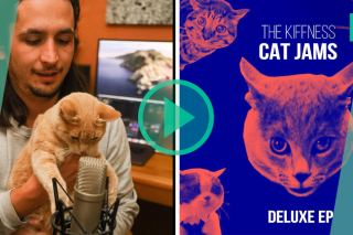 Des chats ont prêté leur voix à ce musicien sud-africain, qui en a fait un album