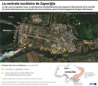 Image satellite prise le 24 août montrant les incendies près de la centrale nucléaire de Zaporijjia, en Ukraine