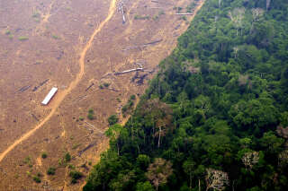 « Alerte rouge » pour le poumon vert, un quart de l’Amazonie irréversiblement détruit
