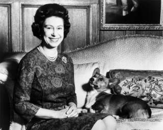 Headshot taken on February 26, 1970 of Queen Elizabeth II posing with her Corgis dog. (Photo by CENTRAL PRESS / AFP)