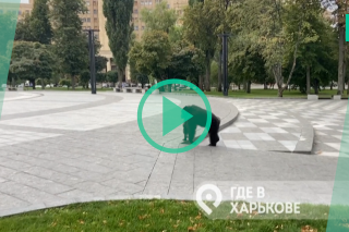 Un chimpanzé échappé du zoo se promène dans les rues de Kharkiv