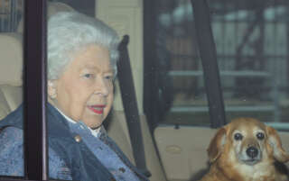 La reine Elizabeth II et son dorgi Vulcan