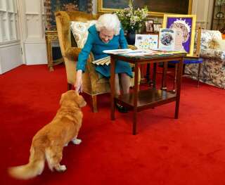 After the queen's death, her precious corgi will be cared for by one of Elizabeth II's children, Andrea (photo taken on February 4th).