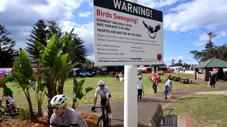 Cyclists pass by a sign warning people of swooping magpies in the fan zone at the UCI 2022 Road World Championship in Wollongong on September 17, 2022. (Photo by William WEST / AFP) / --IMAGE RESTRICTED TO EDITORIAL USE - NO COMMERCIAL USE--