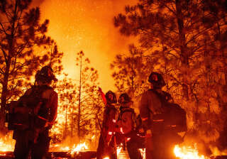 Le Mosquito Fire est le plus grand incendie qu’a connu la Californie cette année. Foresthill, Californie, le 13 septembre 2022.