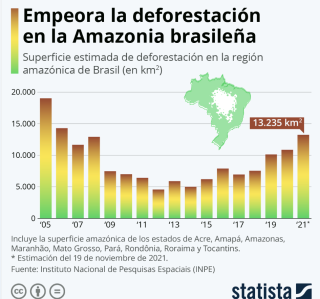 Depuis 2019 et le début du mandat de Jair Bolsonaro, le rythme de déforestation de la forêt amazonienne s’est accéléré.