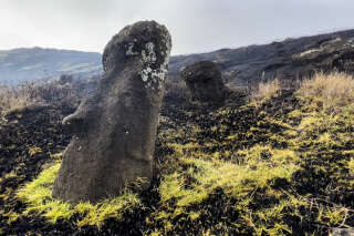 Les iconiques statues de l’île de Pâques abîmées après un violent incendie