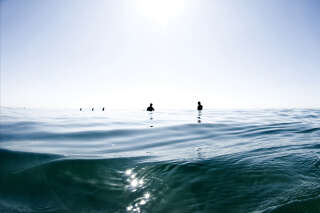 Le pire cauchemar des surfeurs immortalisé par cette photo terrifiante
