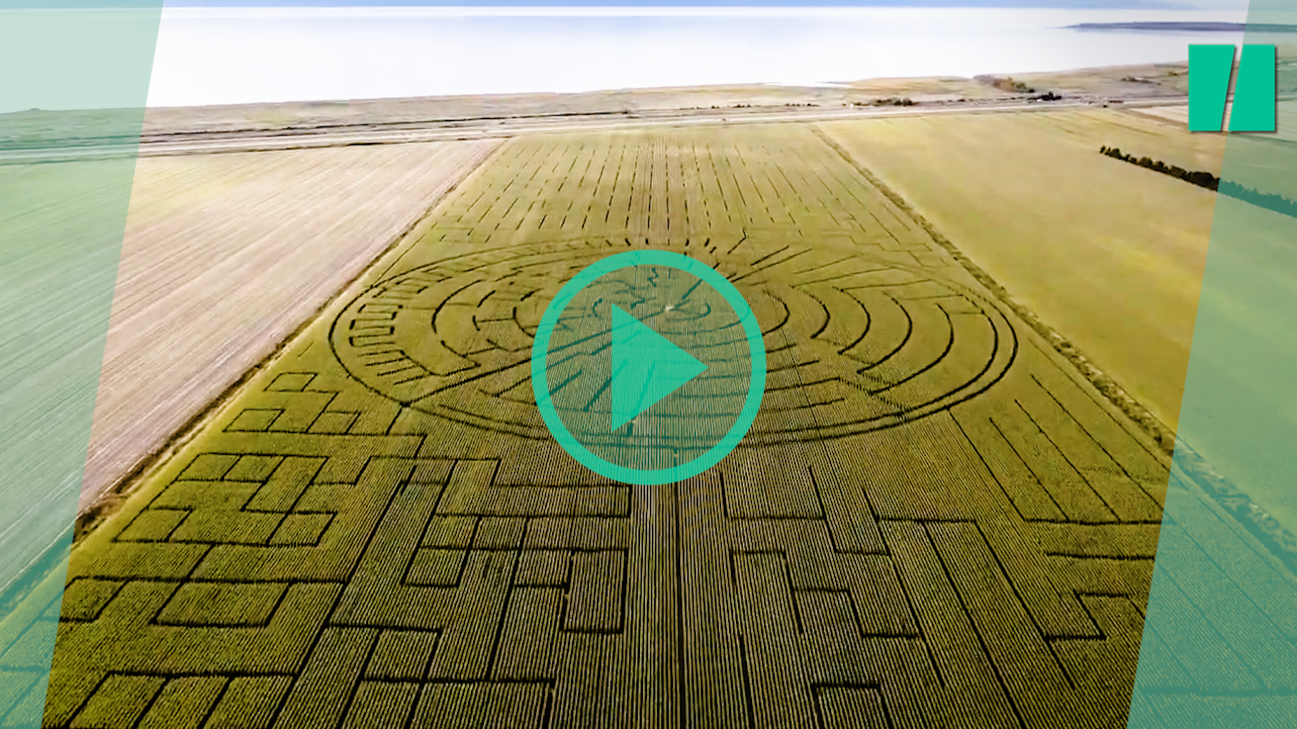 This field is now the largest corn maze in the world