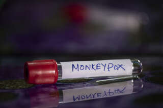 Quelque 81.107 cas de variole du singe et 55 décès ont été signalés à l’OMS cette année, dans 110 pays.