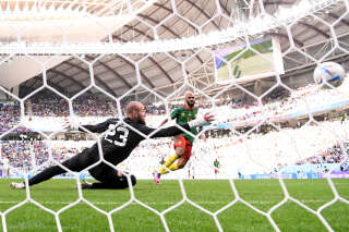 Avec ce match spectaculaire face à la Serbie, le Cameroun a bluffé tout le monde